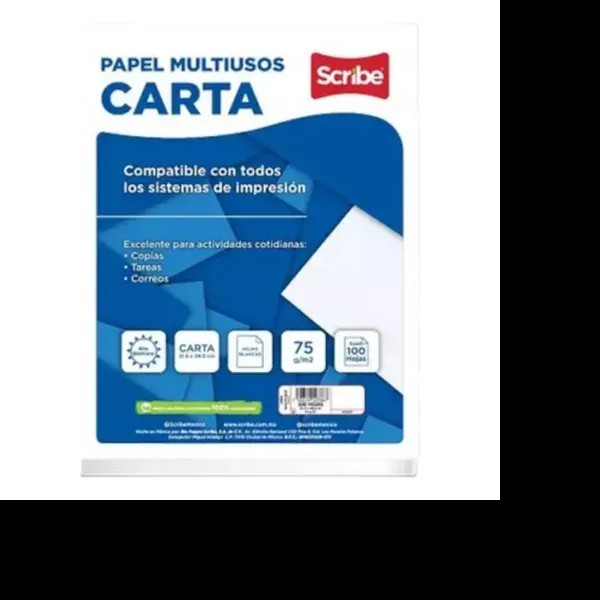 HOJA MULTIUSOS CTA. SCRIBE 5904 PAQ.C100H. BCO. 36K. C.24